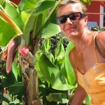 Elfi und unsere eigene Banane Elfi und unsere eigene Banane