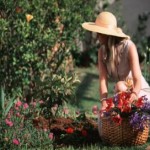 Unser wunderschöner Garten Unser wunderschöner Garten