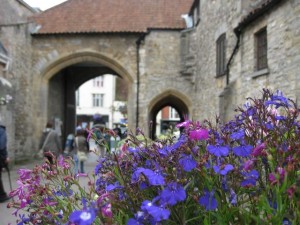 Blüten über Blüten ziehren die historischen Mauern