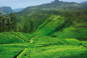 Sri Lanka 3a
