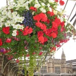 Bahnhof von Bristol mit traumhaften Blumen