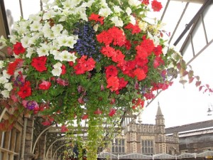 Bahnhof von Bristol mit traumhaften Blumen