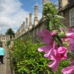 die mittelalterliche Wohnstraße Vicar´s Close von Wells