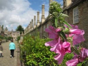 die mittelalterliche Wohnstraße Vicar´s Close von Wells