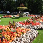 traumhafte Blumen im Park der "Reihenhaussiedlung" in Bath