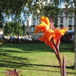 Stadtpark von Bath