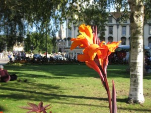 Stadtpark von Bath